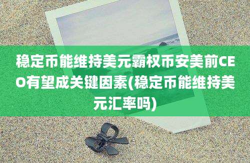 稳定币能维持美元霸权币安美前CEO有望成关键因素(稳定币能维持美元汇率吗)