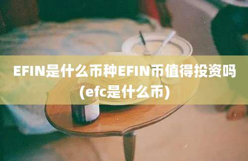 EFIN是什么币种EFIN币值得投资吗(efc是什么币)