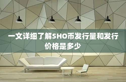 一文详细了解SHO币发行量和发行价格是多少