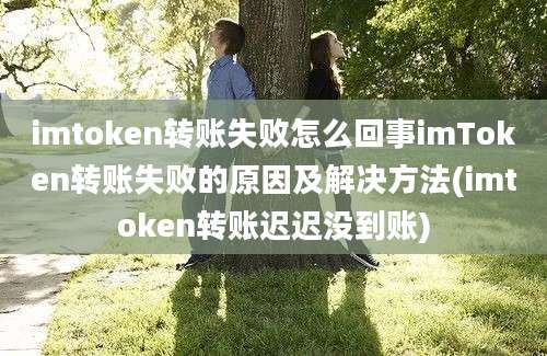 imtoken转账失败怎么回事imToken转账失败的原因及解决方法(imtoken转账迟迟没到账)