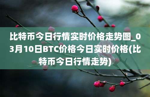 比特币今日行情实时价格走势图_03月10日BTC价格今日实时价格(比特币今日行情走势)