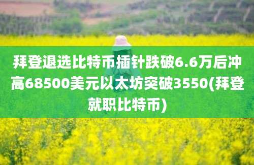 拜登退选比特币插针跌破6.6万后冲高68500美元以太坊突破3550(拜登就职比特币)