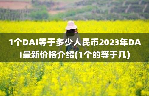 1个DAI等于多少人民币2023年DAI最新价格介绍(1个的等于几)