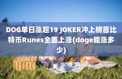 DOG单日涨超19 JOKER冲上榜首比特币Runes全面上涨(doge能涨多少)