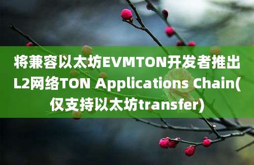 将兼容以太坊EVMTON开发者推出L2网络TON Applications Chain(仅支持以太坊transfer)