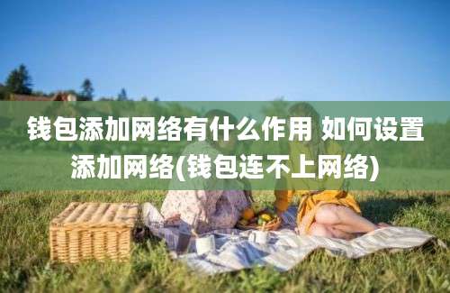 钱包添加网络有什么作用 如何设置添加网络(钱包连不上网络)