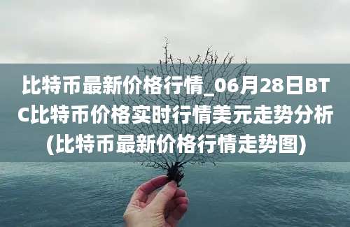 比特币最新价格行情_06月28日BTC比特币价格实时行情美元走势分析(比特币最新价格行情走势图)