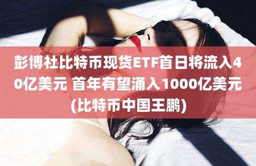 彭博社比特币现货ETF首日将流入40亿美元 首年有望涌入1000亿美元(比特币中国王鹏)