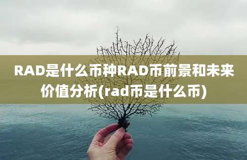 RAD是什么币种RAD币前景和未来价值分析(rad币是什么币)