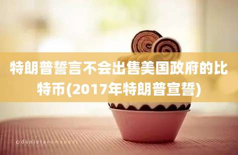 特朗普誓言不会出售美国政府的比特币(2017年特朗普宣誓)