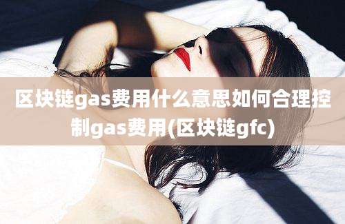 区块链gas费用什么意思如何合理控制gas费用(区块链gfc)