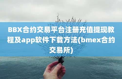 BBX合约交易平台注册充值提现教程及app软件下载方法(bmex合约交易所)