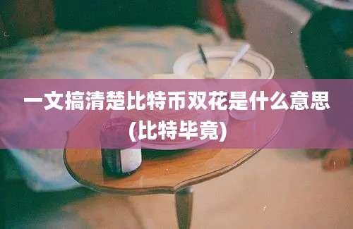 一文搞清楚比特币双花是什么意思(比特毕竟)