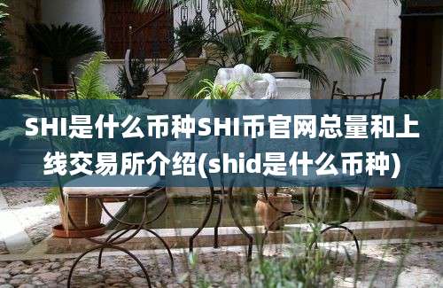 SHI是什么币种SHI币官网总量和上线交易所介绍(shid是什么币种)