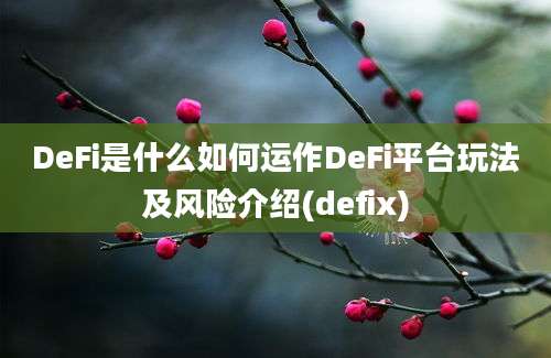 DeFi是什么如何运作DeFi平台玩法及风险介绍(defix)