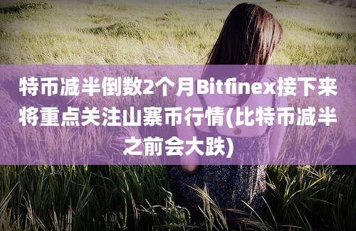 特币减半倒数2个月Bitfinex接下来将重点关注山寨币行情(比特币减半之前会大跌)