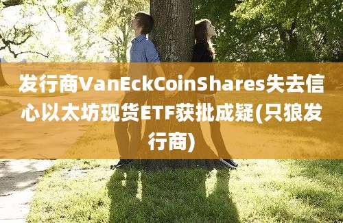 发行商VanEckCoinShares失去信心以太坊现货ETF获批成疑(只狼发行商)