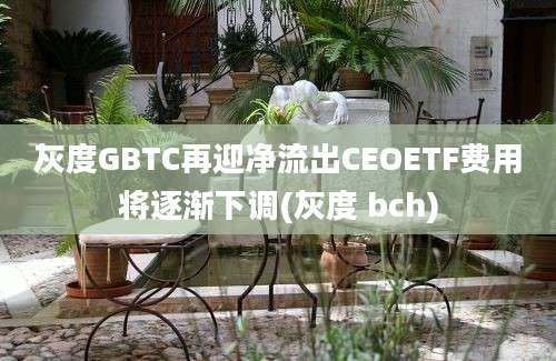 灰度GBTC再迎净流出CEOETF费用将逐渐下调(灰度 bch)