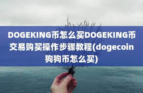 DOGEKING币怎么买DOGEKING币交易购买操作步骤教程(dogecoin狗狗币怎么买)