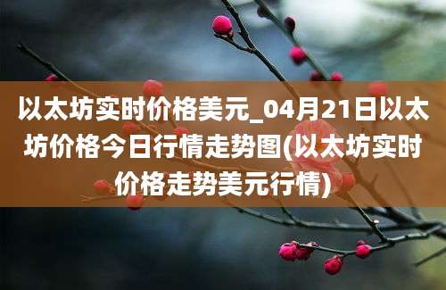 以太坊实时价格美元_04月21日以太坊价格今日行情走势图(以太坊实时价格走势美元行情)