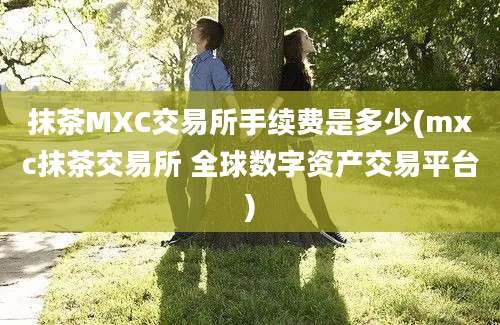 抹茶MXC交易所手续费是多少(mxc抹茶交易所 全球数字资产交易平台)