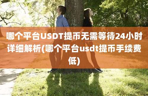 哪个平台USDT提币无需等待24小时详细解析(哪个平台usdt提币手续费低)