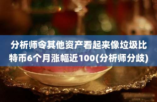 分析师令其他资产看起来像垃圾比特币6个月涨幅近100(分析师分歧)