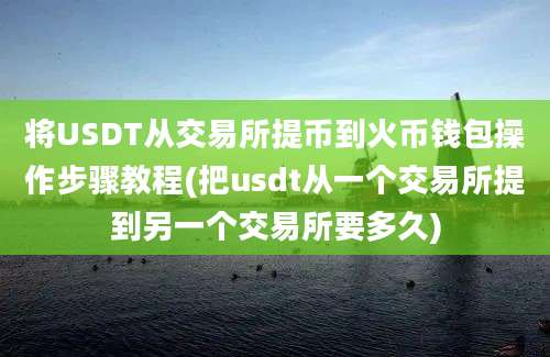 将USDT从交易所提币到火币钱包操作步骤教程(把usdt从一个交易所提到另一个交易所要多久)