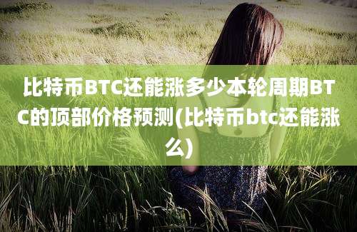 比特币BTC还能涨多少本轮周期BTC的顶部价格预测(比特币btc还能涨么)