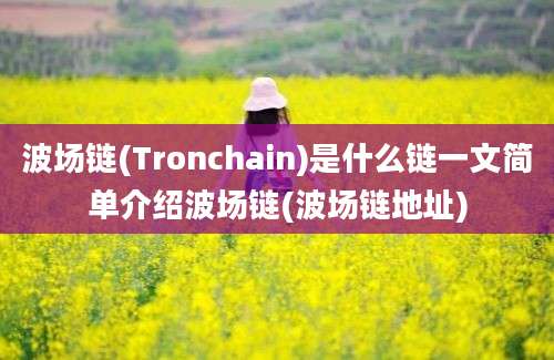 波场链(Tronchain)是什么链一文简单介绍波场链(波场链地址)