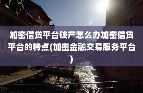 加密借贷平台破产怎么办加密借贷平台的特点(加密金融交易服务平台)