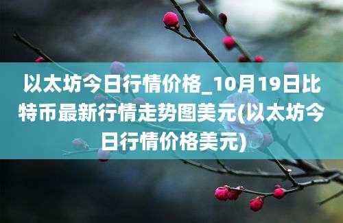 以太坊今日行情价格_10月19日比特币最新行情走势图美元(以太坊今日行情价格美元)