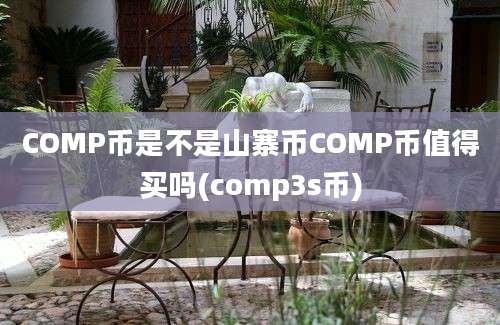 COMP币是不是山寨币COMP币值得买吗(comp3s币)