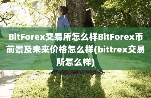 BitForex交易所怎么样BitForex币前景及未来价格怎么样(bittrex交易所怎么样)