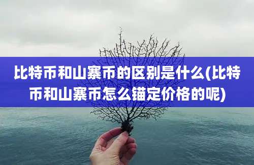 比特币和山寨币的区别是什么(比特币和山寨币怎么锚定价格的呢)