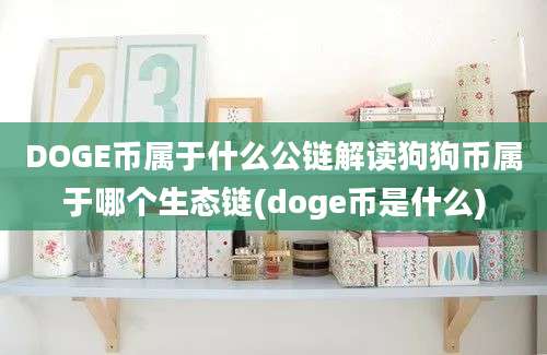 DOGE币属于什么公链解读狗狗币属于哪个生态链(doge币是什么)