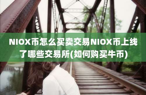 NIOX币怎么买卖交易NIOX币上线了哪些交易所(如何购买牛币)