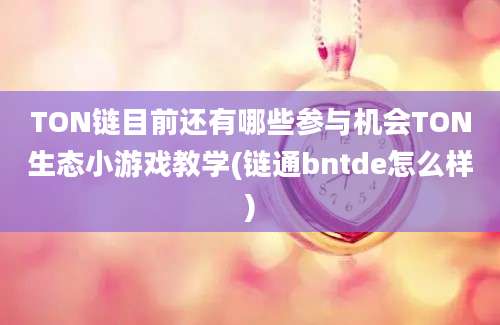 TON链目前还有哪些参与机会TON生态小游戏教学(链通bntde怎么样)