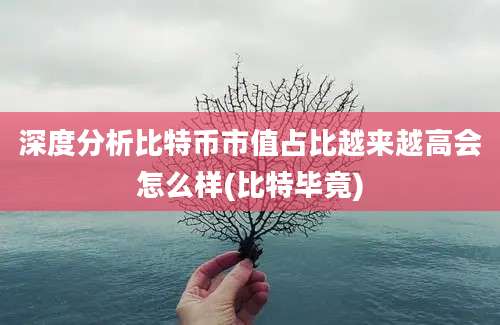 深度分析比特币市值占比越来越高会怎么样(比特毕竟)