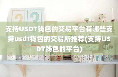 支持USDT钱包的交易平台有哪些支持usdt钱包的交易所推荐(支持USDT钱包的平台)