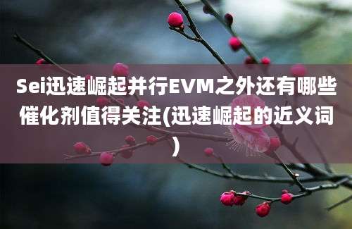 Sei迅速崛起并行EVM之外还有哪些催化剂值得关注(迅速崛起的近义词)