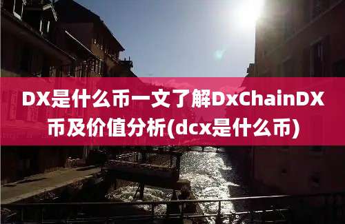 DX是什么币一文了解DxChainDX币及价值分析(dcx是什么币)