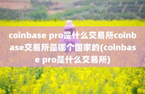 coinbase pro是什么交易所coinbase交易所是哪个国家的(coinbase pro是什么交易所)