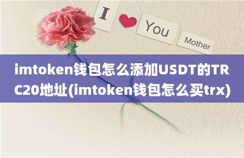 imtoken钱包怎么添加USDT的TRC20地址(imtoken钱包怎么买trx)