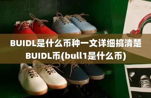 BUIDL是什么币种一文详细搞清楚BUIDL币(bull1是什么币)