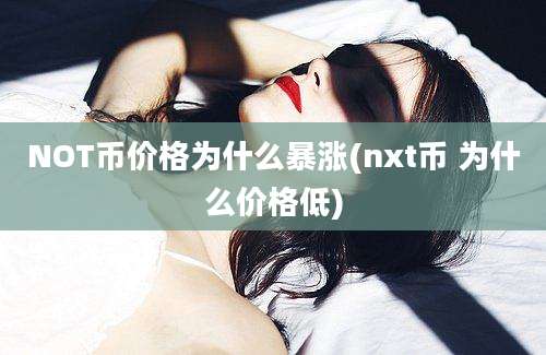 NOT币价格为什么暴涨(nxt币 为什么价格低)