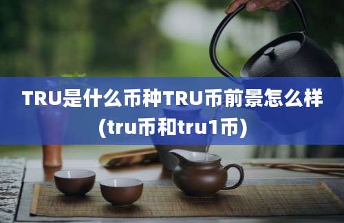 TRU是什么币种TRU币前景怎么样(tru币和tru1币)