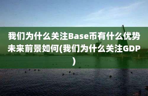 我们为什么关注Base币有什么优势未来前景如何(我们为什么关注GDP)