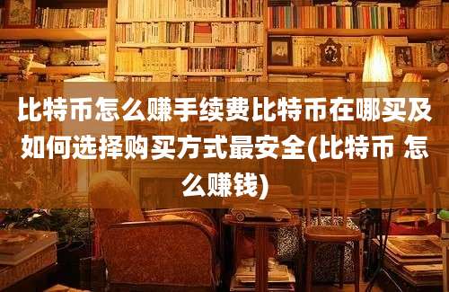 比特币怎么赚手续费比特币在哪买及如何选择购买方式最安全(比特币 怎么赚钱)