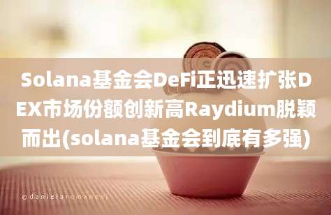 Solana基金会DeFi正迅速扩张DEX市场份额创新高Raydium脱颖而出(solana基金会到底有多强)